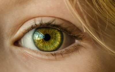 Retina Scanner Sebagai Solusi Keamanan untuk Startup Teknologi